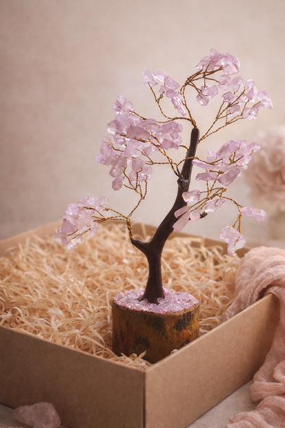 Ganesh Blessings Mud Frame & Wish Tree Gift Box
